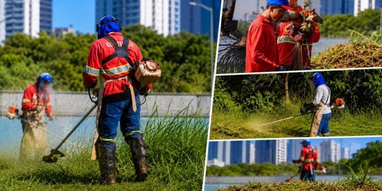 Prefeitura reforça limpeza das ruas e áreas públicas de Rio Preto