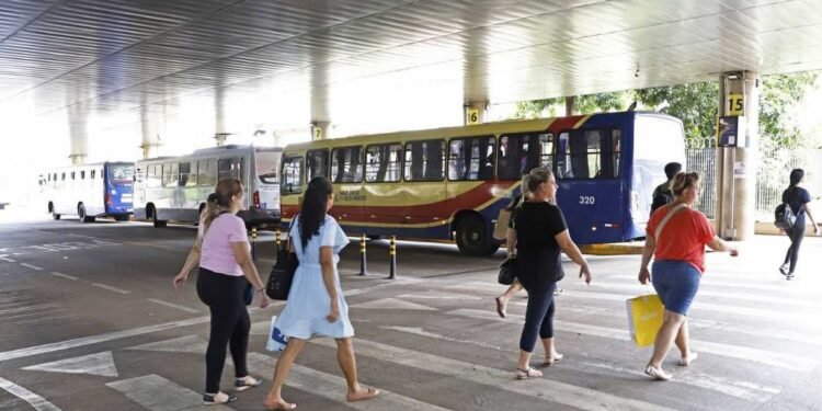 Rio Preto terá operação especial no transporte coletivo durante jogos do Brasil na Copa do Mundo 2026
