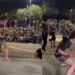 Campeonato de "Farmar Aura" reúne multidão e surpreende na Represa de Rio Preto