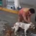 FUNCIONÁRIO É DEMITIDO APÓS DAR BANHO EM CÃES DE RUA E CASO REVOLTA A INTERNET