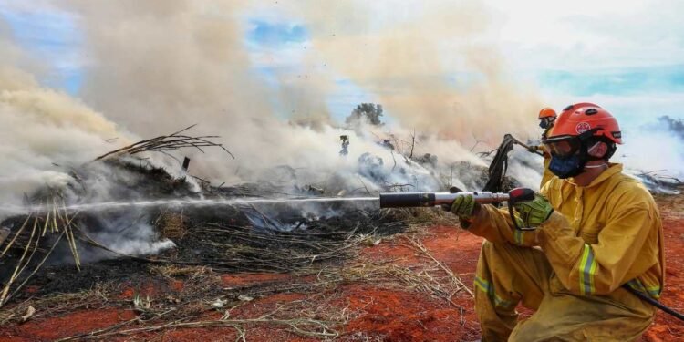 Mapa da Defesa Civil de São Paulo mostra as regiões do estado com níveis de alerta para risco de incêndios, destacando áreas em estado de emergência devido à baixa umidade do ar e à massa de ar seco.