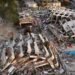 Equipes de resgate trabalham entre escombros após terremoto na Venezuela.