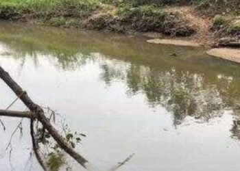 FALHA EM BOMBA DA ETE PROVOCA VAZAMENTO DE ESGOTO NO RIO SÃO DOMINGOS, EM CATANDUVA