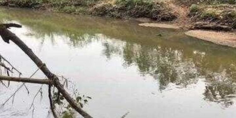 FALHA EM BOMBA DA ETE PROVOCA VAZAMENTO DE ESGOTO NO RIO SÃO DOMINGOS, EM CATANDUVA