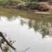FALHA EM BOMBA DA ETE PROVOCA VAZAMENTO DE ESGOTO NO RIO SÃO DOMINGOS, EM CATANDUVA