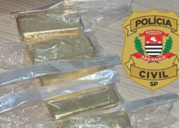 POLÍCIA CIVIL DESMASCARA FALSO ROUBO DE BARRAS DE OURO E PRENDE DOIS EM RIO PRETO