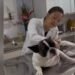 Gripe canina avança no inverno e veterinária faz alerta: saiba como proteger seu pet