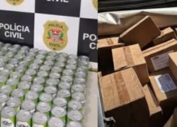 POLÍCIA APREENDE MAIS DE 2,6 MIL LATAS DE SARDINHA FURTADAS NO INTERIOR DE SP