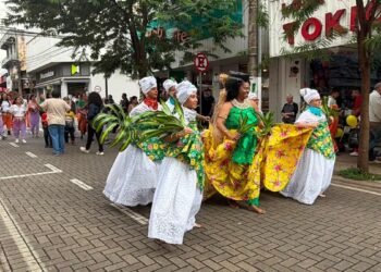 Marcha da Mulher Negra reúne cerca de 300 pessoas em São José do Rio Preto