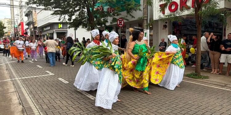 Marcha da Mulher Negra reúne cerca de 300 pessoas em São José do Rio Preto