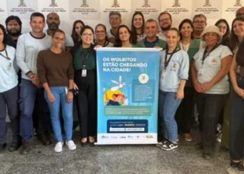 Mosquito Aedes aegypti em laboratório para aplicação do Método Wolbachia.