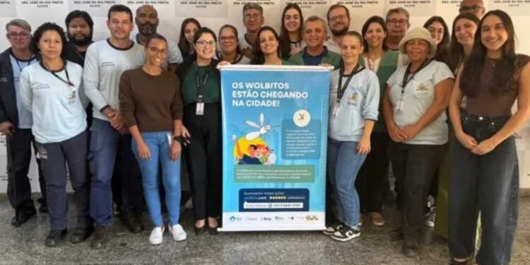 Mosquito Aedes aegypti em laboratório para aplicação do Método Wolbachia.
