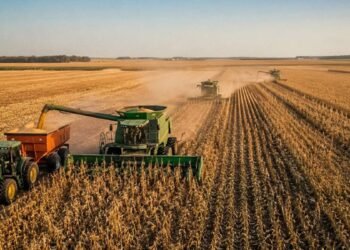 Região de Rio Preto lidera agro paulista em 2025