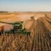 Região de Rio Preto lidera agro paulista em 2025