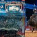 Arena do Rio Preto Country Bulls recebe montarias, grandes shows sertanejos e ações solidárias durante a edição de 2026 em São José do Rio Preto.