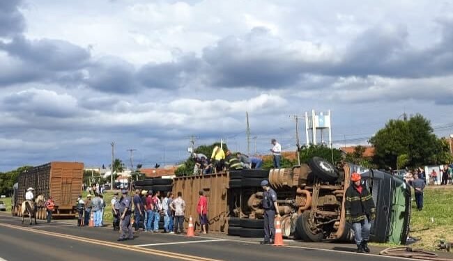 Carreta de carga viva tomba na SP-310; animais fogem pelas ruas e mobilizam grande operação de resgate