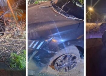 Viatura da Guarda Civil Municipal em ocorrência de embriaguez ao volante em Rio Preto