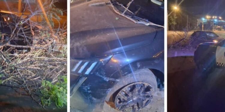 Viatura da Guarda Civil Municipal em ocorrência de embriaguez ao volante em Rio Preto
