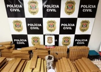 DISE apreende 120 kg de maconha em casa bomba usada por organização criminosa em Rio Preto