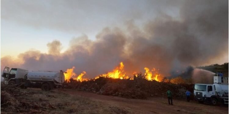 FAZENDINHA AMANHECE COBERTA POR FUMAÇA APÓS INCÊNDIO EM RIO PRETO