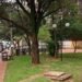 Vereadores aprovam venda de áreas públicas de Rio Preto durante sessão de nove horas na Câmara Municipal.