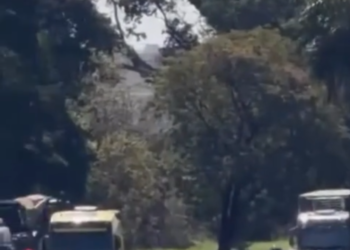 GRAVE ACIDENTE NA BR-153 DEIXA UMA MULHER MORTA E DOIS FERIDOS EM ONDA VERDE