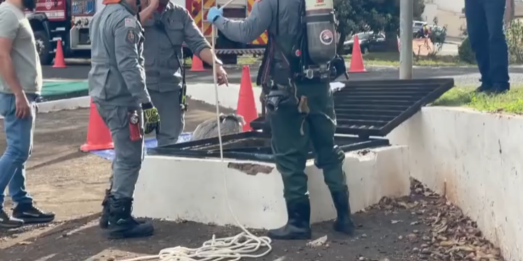 Polícia encontra mãos da vítima durante novas buscas em caso de esquartejamento em Rio Preto