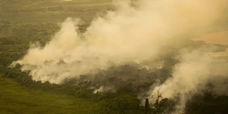 TEMPO SECO EM RIO PRETO AUMENTA ALERTA PARA DOENÇAS RESPIRATÓRIAS