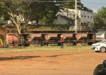 Trem descarrila e quatro vagões com grãos tombam em Rio Preto
