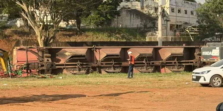 Trem descarrila e quatro vagões com grãos tombam em Rio Preto