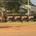 Trem descarrila e quatro vagões com grãos tombam em Rio Preto