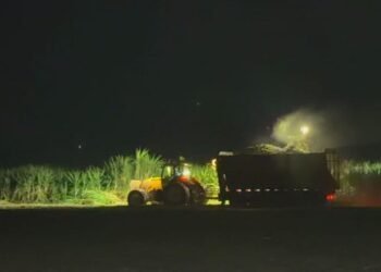 Colheita de cana-de-açúcar no interior paulista exige operação ininterrupta com três turnos de trabalho