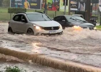 🚨 MURCHID HOMSI: SALVAR ÁRVORES OU ACABAR COM AS ENCHENTES? DEBATE DIVIDE RIO PRETO