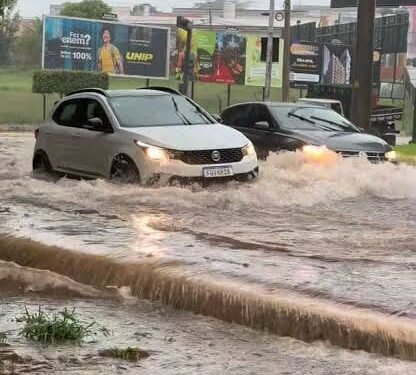 🚨 MURCHID HOMSI: SALVAR ÁRVORES OU ACABAR COM AS ENCHENTES? DEBATE DIVIDE RIO PRETO