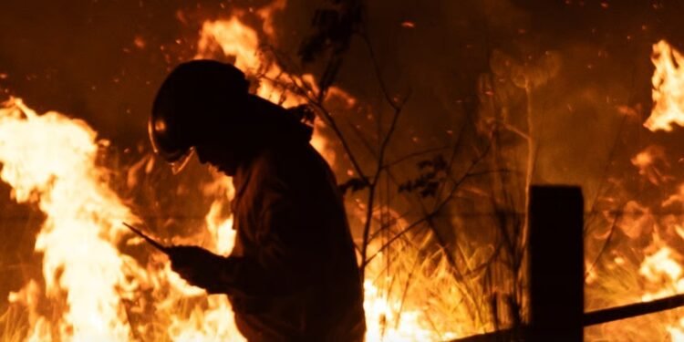 INCÊNDIO ATINGE ÁREA DE VEGETAÇÃO E APP EM RIO PRETO