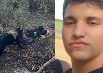 CÃO FAREJADOR DO BAEP LOCALIZA CORPO DE DESAPARECIDO EM MATA DE VOTUPORANGA