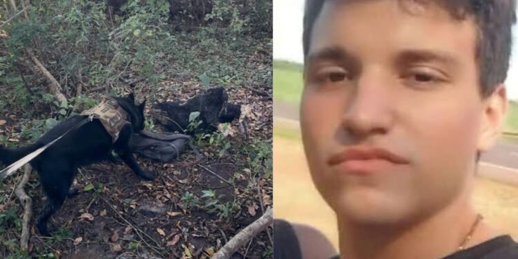 CÃO FAREJADOR DO BAEP LOCALIZA CORPO DE DESAPARECIDO EM MATA DE VOTUPORANGA