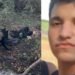 CÃO FAREJADOR DO BAEP LOCALIZA CORPO DE DESAPARECIDO EM MATA DE VOTUPORANGA