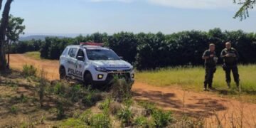 POLÍCIA AMBIENTAL REFORÇA CERCO CONTRA DESMATAMENTO E TRANSPORTE ILEGAL DE MADEIRA