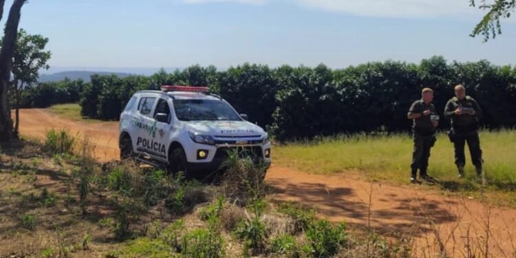 POLÍCIA AMBIENTAL REFORÇA CERCO CONTRA DESMATAMENTO E TRANSPORTE ILEGAL DE MADEIRA