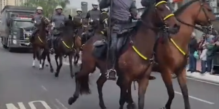 7 DE SETEMBRO É MARCADO POR DESFILE CÍVICO EM RIO PRETO