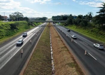 MAIS DE 560 MIL VEÍCULOS DEVEM PASSAR PELAS RODOVIAS DA REGIÃO NO FERIADO
